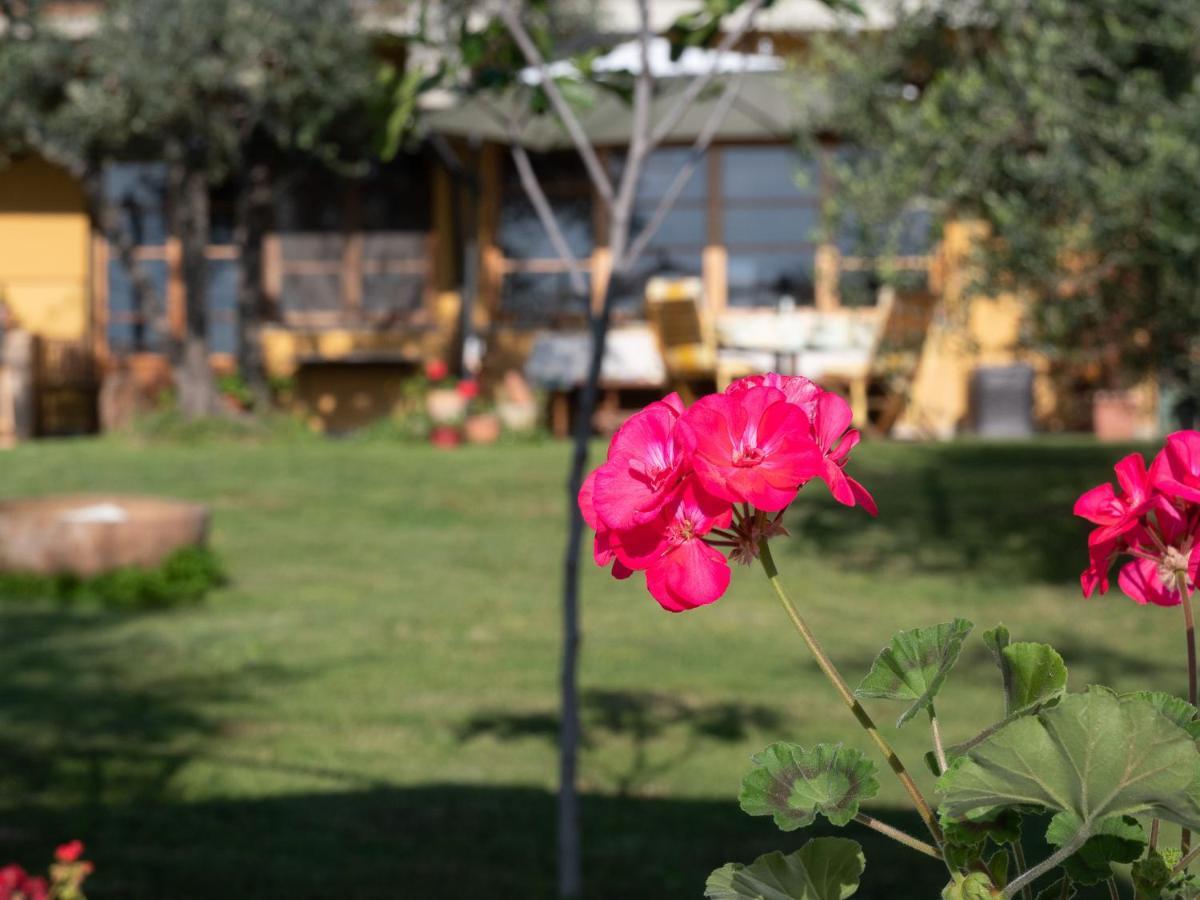 B&B Casa Decimo Greve in Chianti Ngoại thất bức ảnh